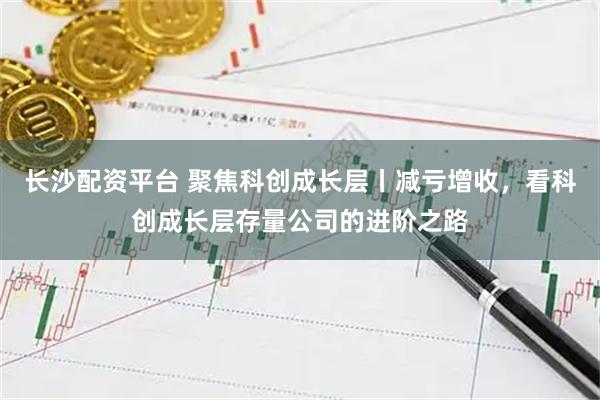 长沙配资平台 聚焦科创成长层丨减亏增收，看科创成长层存量公司的进阶之路