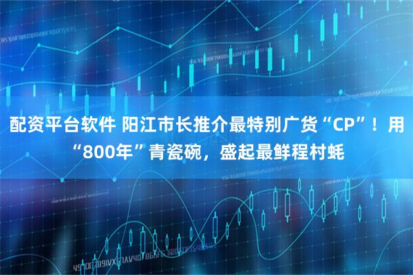 配资平台软件 阳江市长推介最特别广货“CP”！用“800年”青瓷碗，盛起最鲜程村蚝