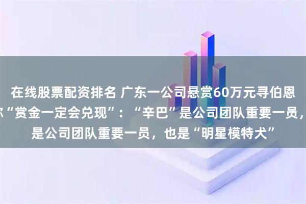 在线股票配资排名 广东一公司悬赏60万元寻伯恩山犬，公司负责人称“赏金一定会兑现”：“辛巴”是公司团队重要一员，也是“明星模特犬”