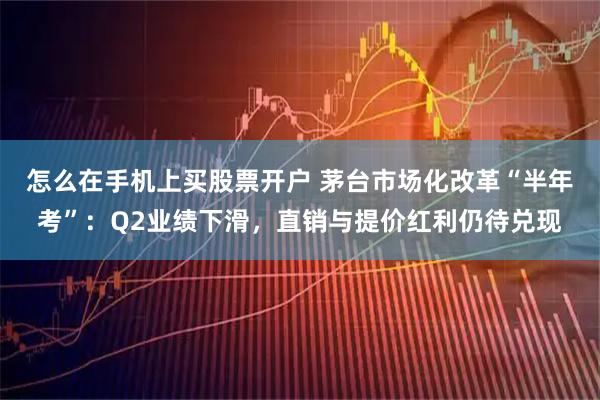 怎么在手机上买股票开户 茅台市场化改革“半年考”：Q2业绩下滑，直销与提价红利仍待兑现